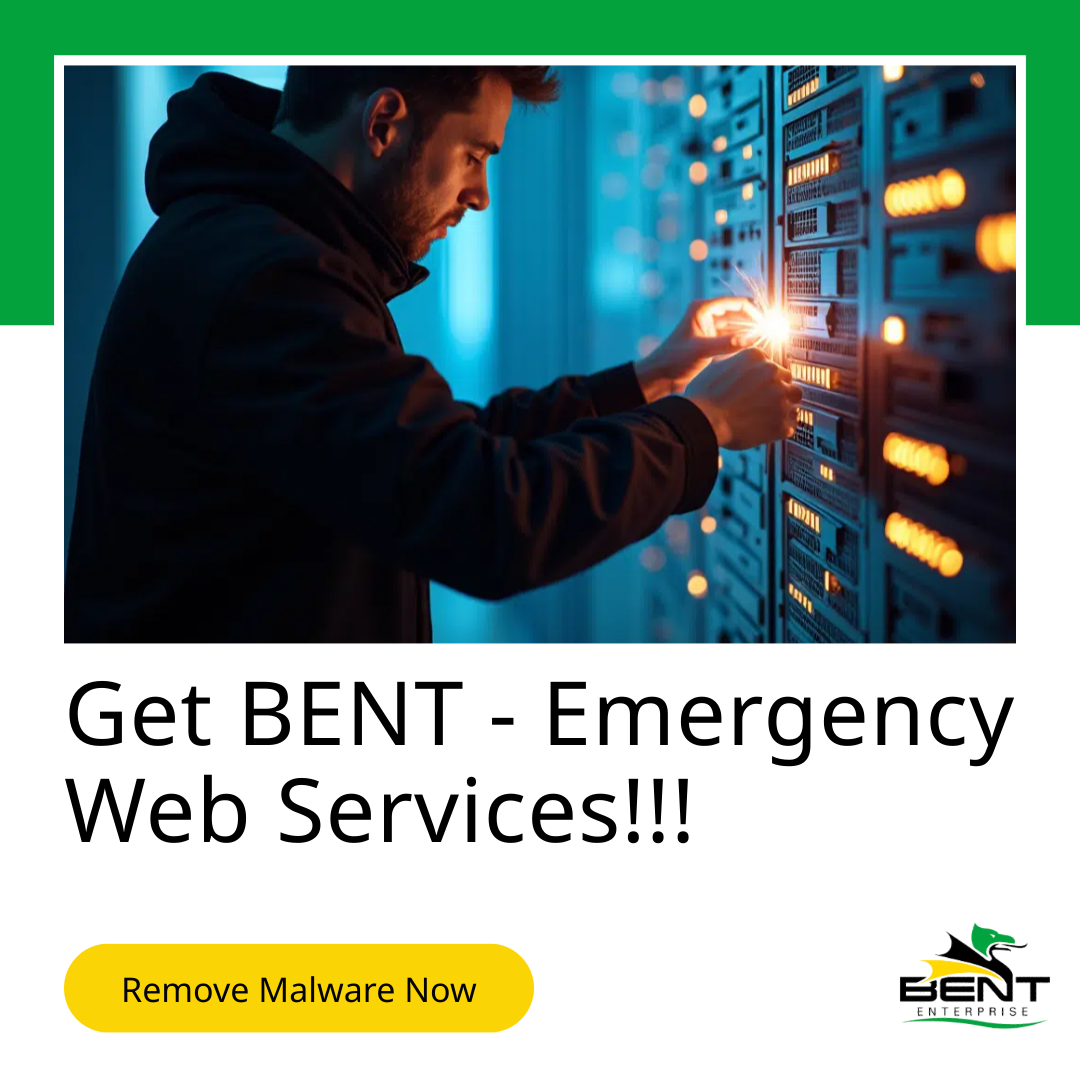 Technician fixing server, emergency web services.