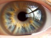 Ophthalmology-Seo