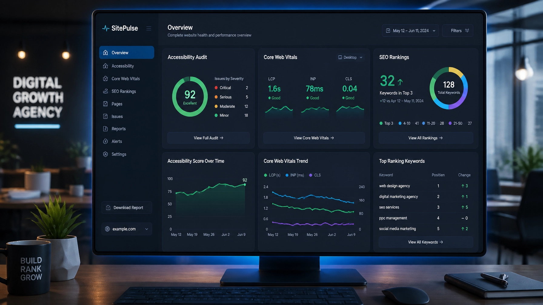 Professional dashboard showing web accessibility audits, Core Web Vitals performance graphs, and local SEO rankings